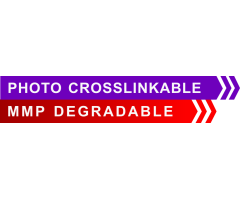 PC-CD