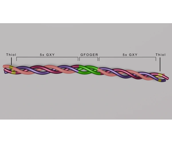 triple-helix_48