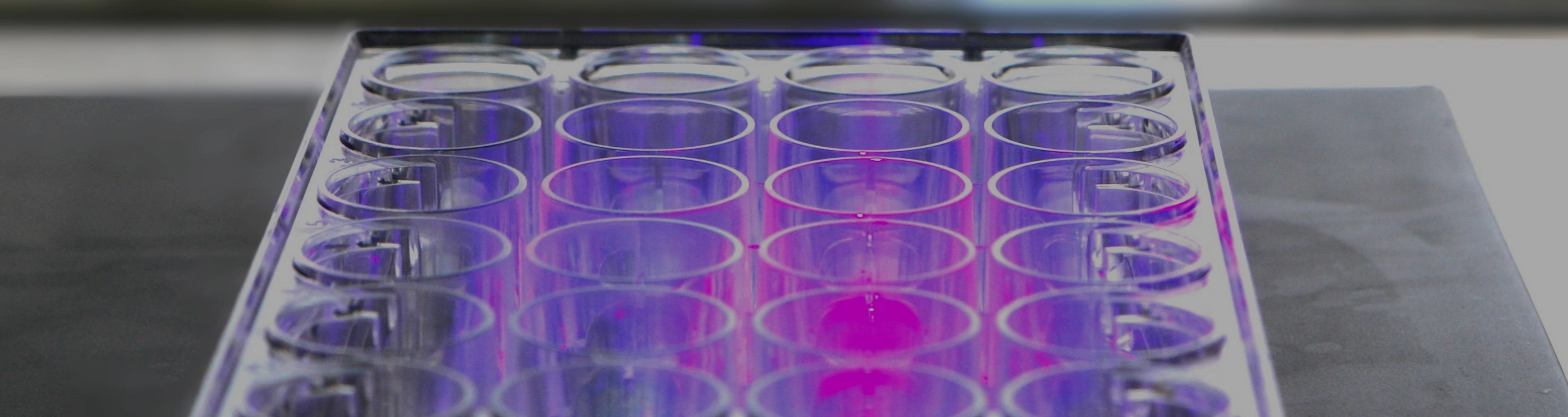 ToLumminate Photogels