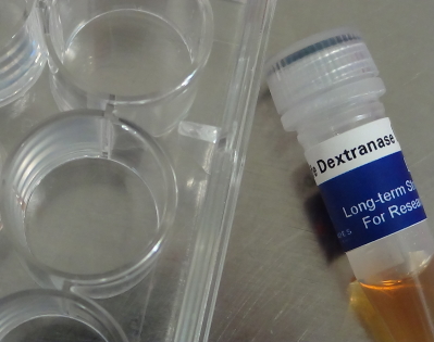 Quisque urna tempus auctor Dissolution of Dextran-based Hydrogels