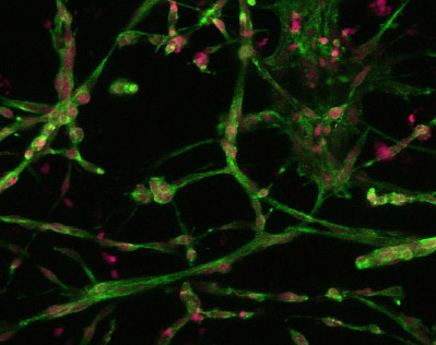 Application Note 2 p2-2