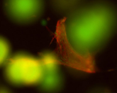 Application Note 3 p4-1