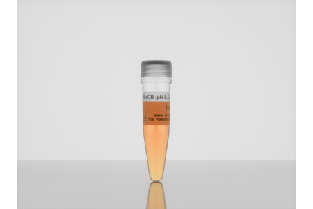 <i>3-D Life</i> 10x CB-Buffer (pH 5.5) b10_3_507634221