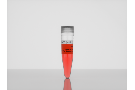 <i>3-D Life</i> 10x CB-Buffer (pH 7.2) b20_3