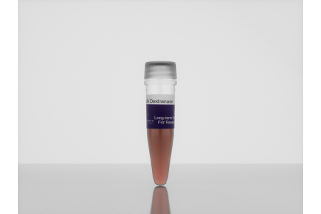 <i>3-D Life</i> Dextranase d10_1
