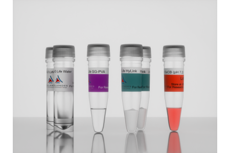 <i>3-D Life</i> PVA-HA Hydrogel g85_1