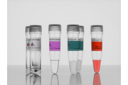 <i>3-D Life</i> Dextran-HA Hydrogel g95_1