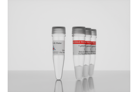 <i>3-D Life</i> Scrambled RGD Peptide p11-3_472384213