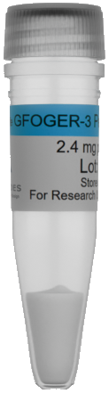GFOGER-3