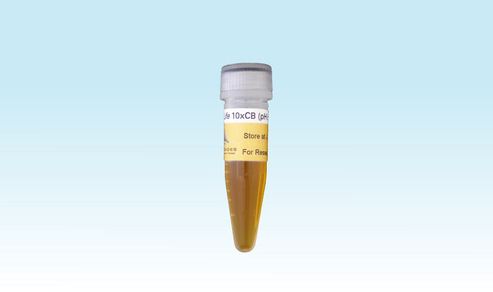 <em>3-D Life</em> 10x CB-Buffer (pH 5.5) <em>3-D Life</em> 10x CB-Buffer (pH 5.5)