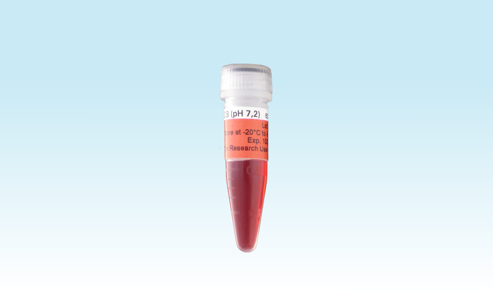 <em>3-D Life</em> 10x CB Buffer (pH 7.2) <em>3-D Life</em> 10x CB Buffer (pH 7.2)