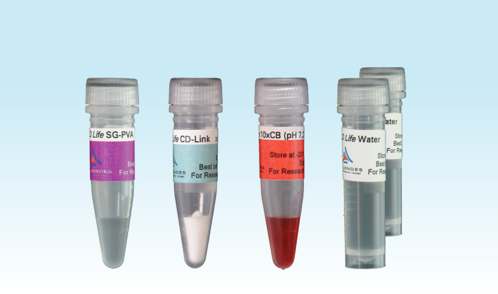 <em>3-D Life</em> PVA-CD Hydrogel SG <em>3-D Life</em> PVA-CD Hydrogel SG
