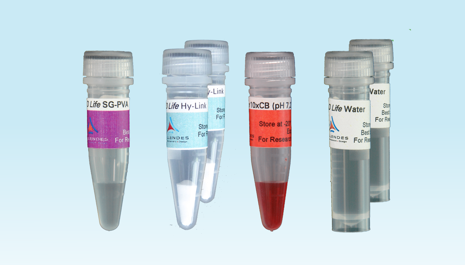 <em>3-D Life</em> PVA-HA Hydrogel <em>3-D Life</em> PVA-HA Hydrogel