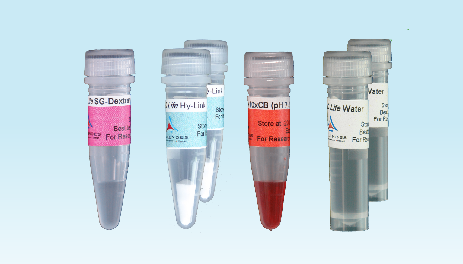 <em>3-D Life</em> Dextran-HA Hydrogel <em>3-D Life</em> Dextran-HA Hydrogel