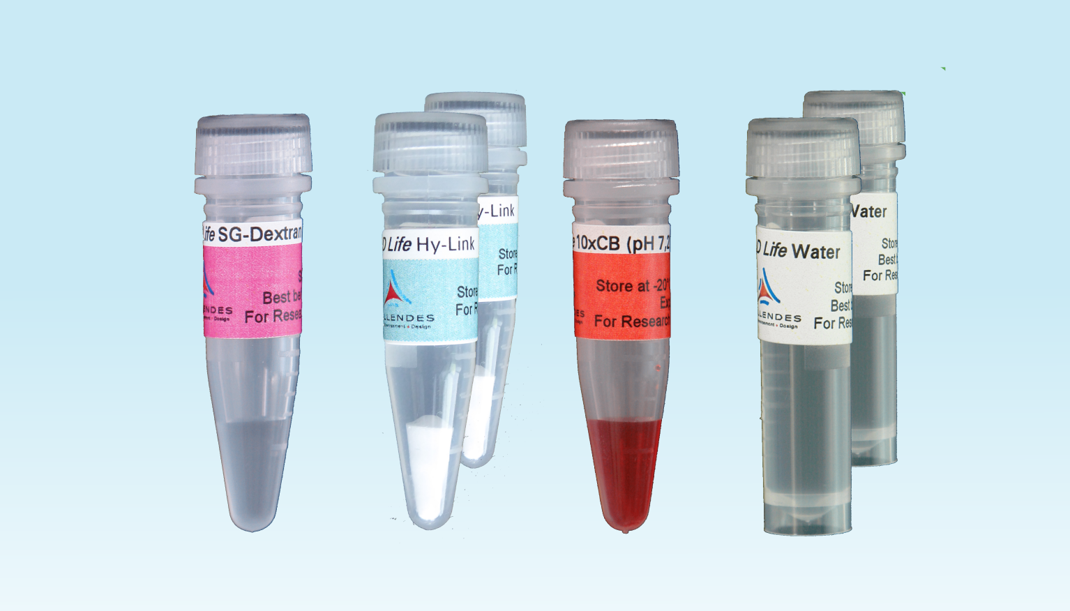 <em>3-D Life</em> Dextran-HA Hydrogel