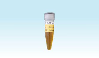 <em>3-D Life</em> 10x CB-Buffer (pH 5.5)