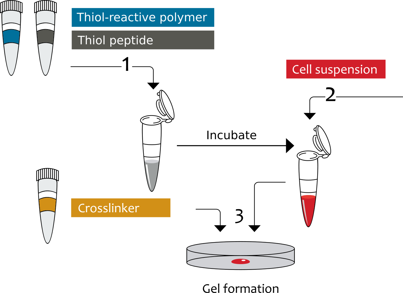 cellendes setup hydrogel
